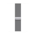 Apple MTJR3ZM/A - 45mm Silver Milanese Loop