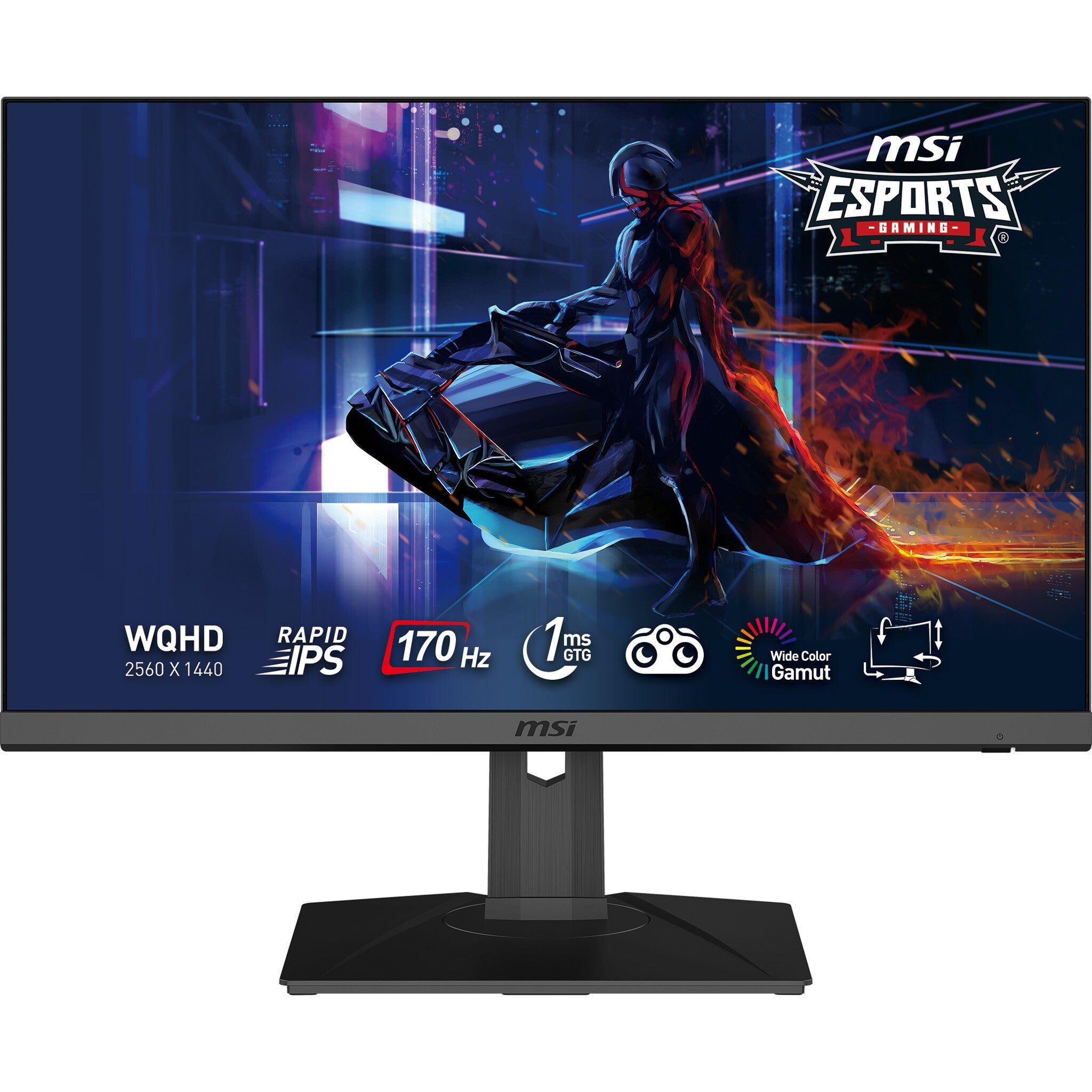 MSI G272QPF - 68.6 cm (27") - 2560 x 1440 pixels Wide Quad HD Monitor