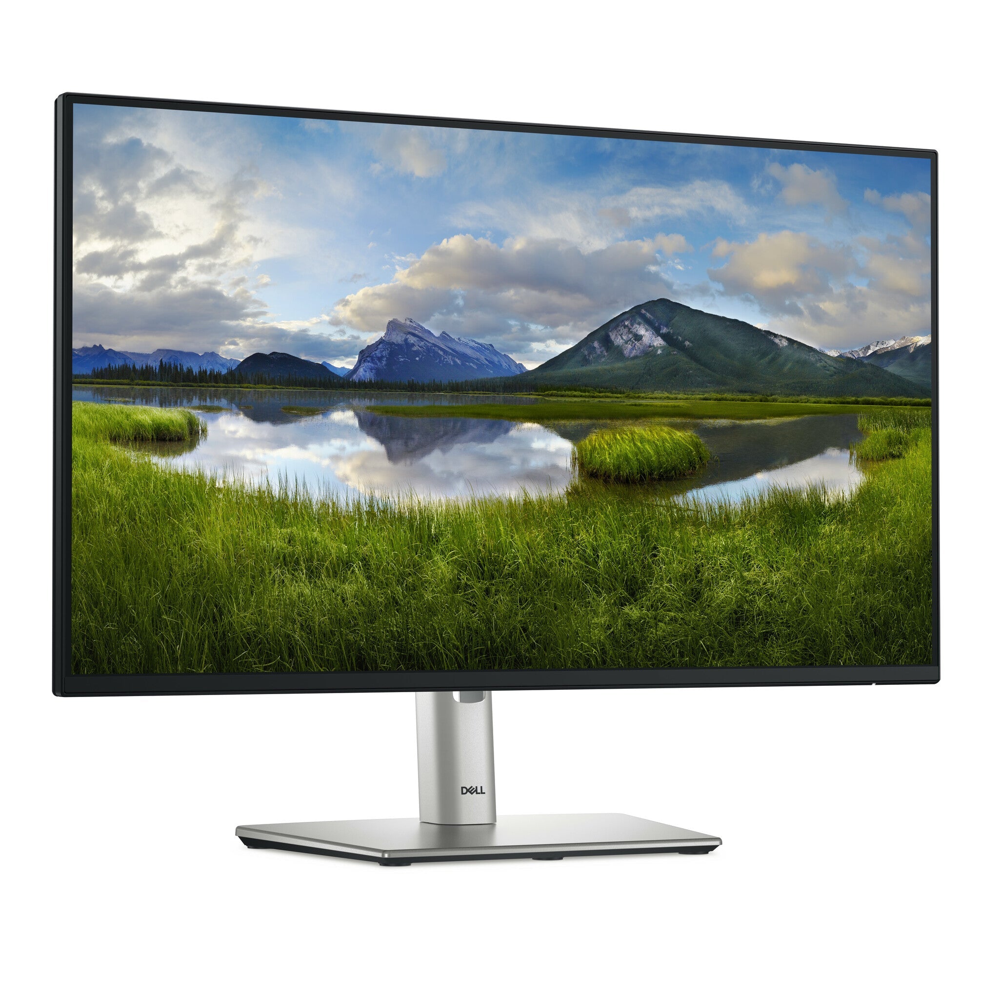 DELL P Series P2425HE - 60.5 cm (23.8") - 1920 x 1080 pixels Full HD LCD Monitor