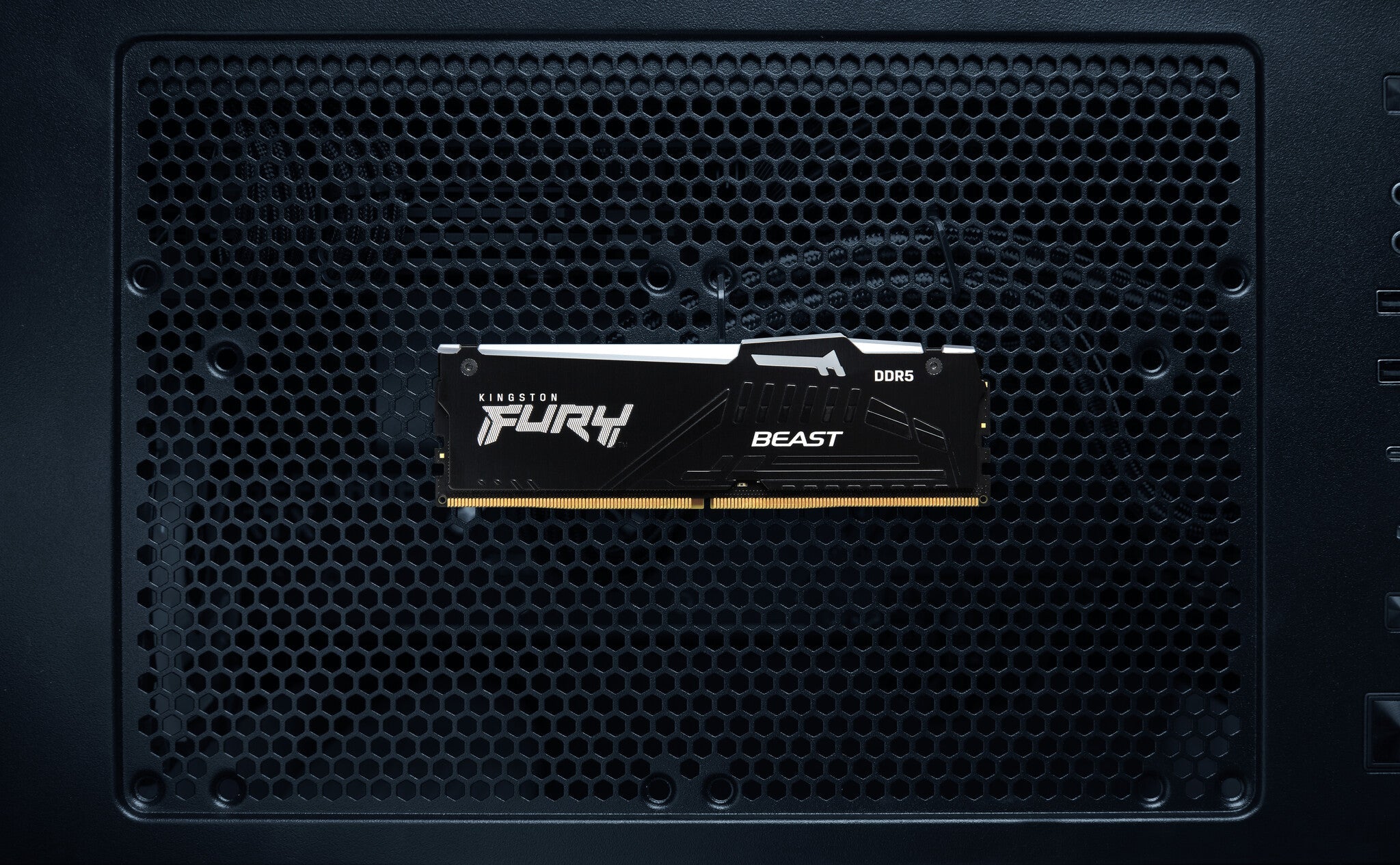 Kingston Technology FURY Beast Black RGB - 16 GB 1 x 16 GB 4800MT/s DDR5 memory module