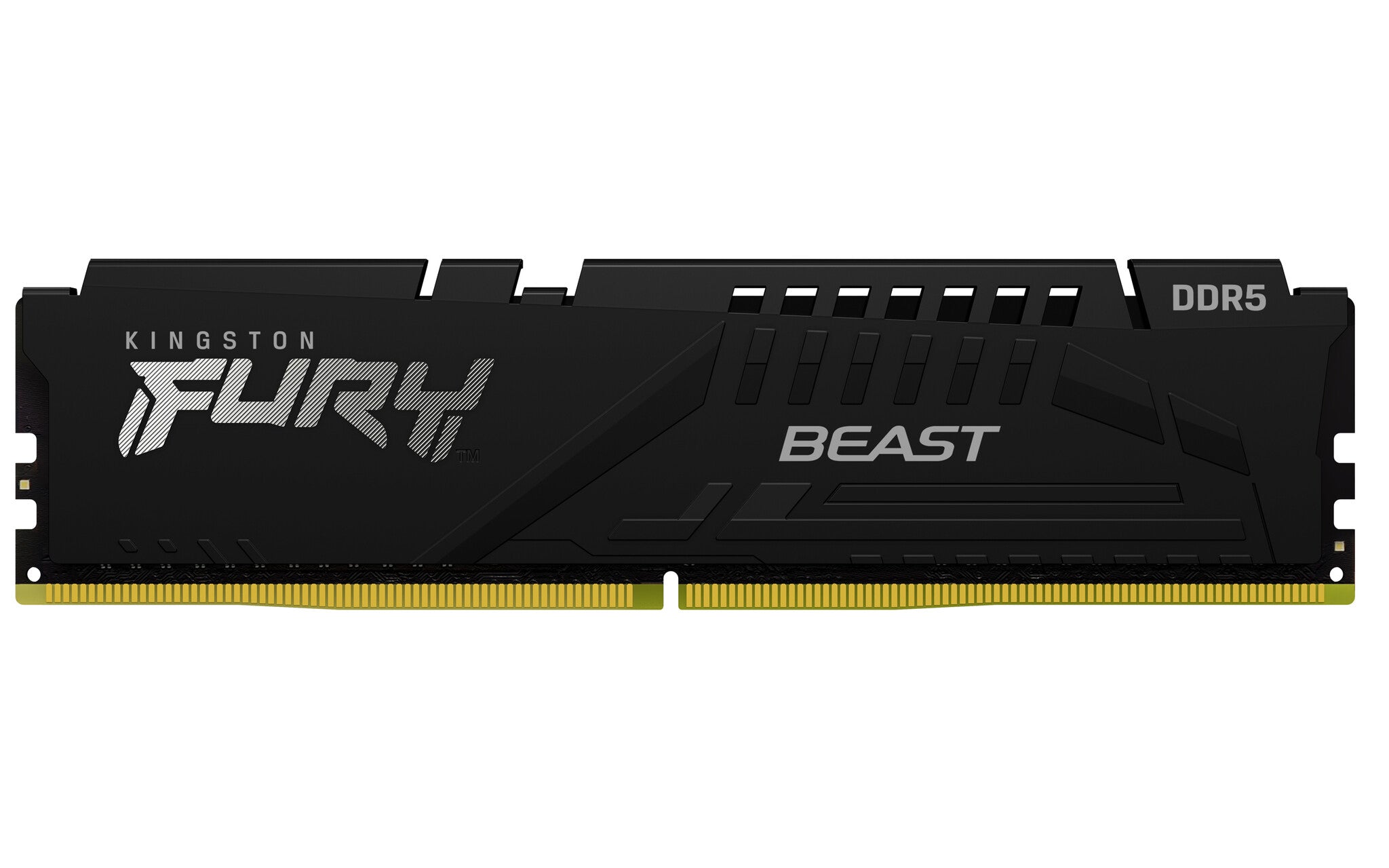Kingston Technology FURY Beast Black - 16 GB 1 x 16 GB 4800MT/s DDR5 memory module