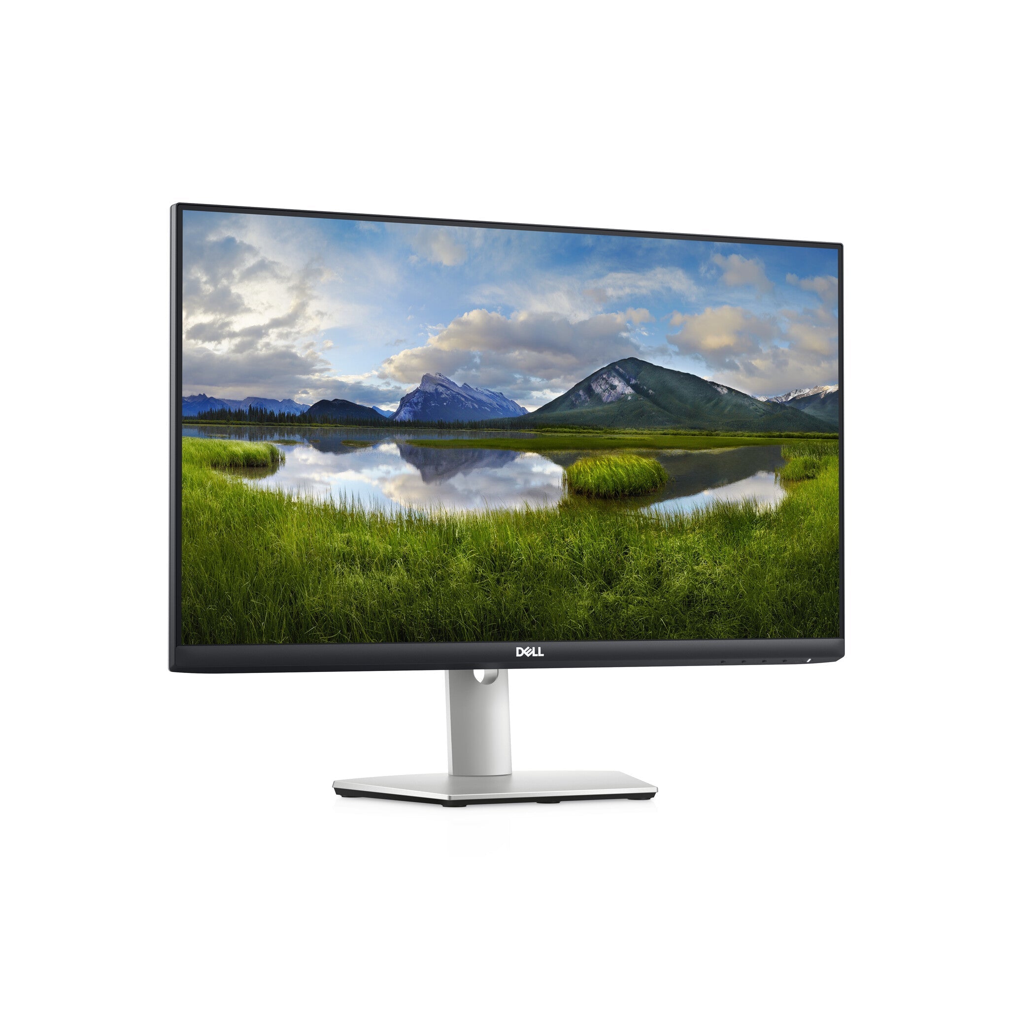DELL S Series S2421HS - 60.5 cm (23.8") - 1920 x 1080 pixels Full HD LCD Monitor