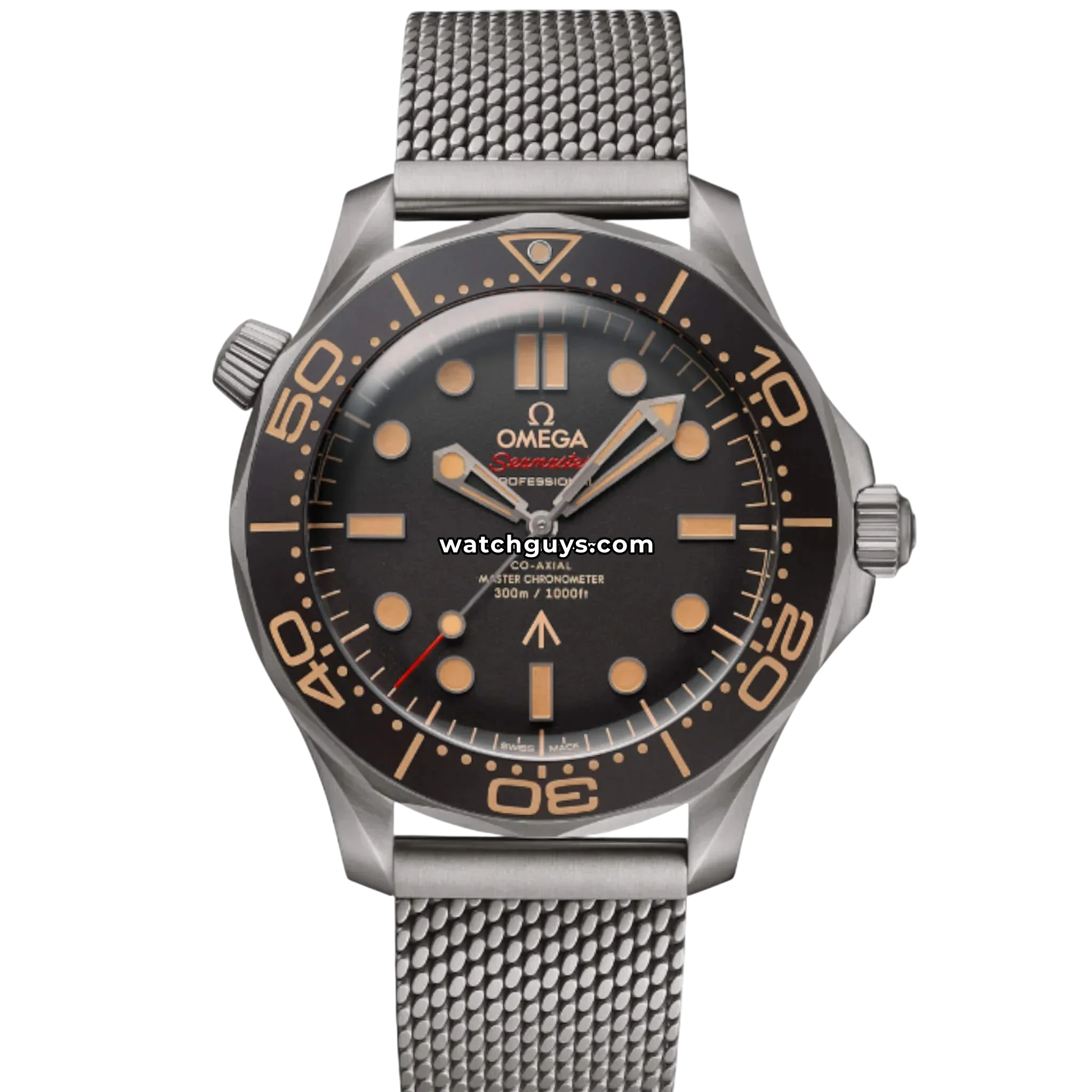 Omega Seamaster Diver 42mm 210.90.42.20.01.001 Brown Dial Titanium