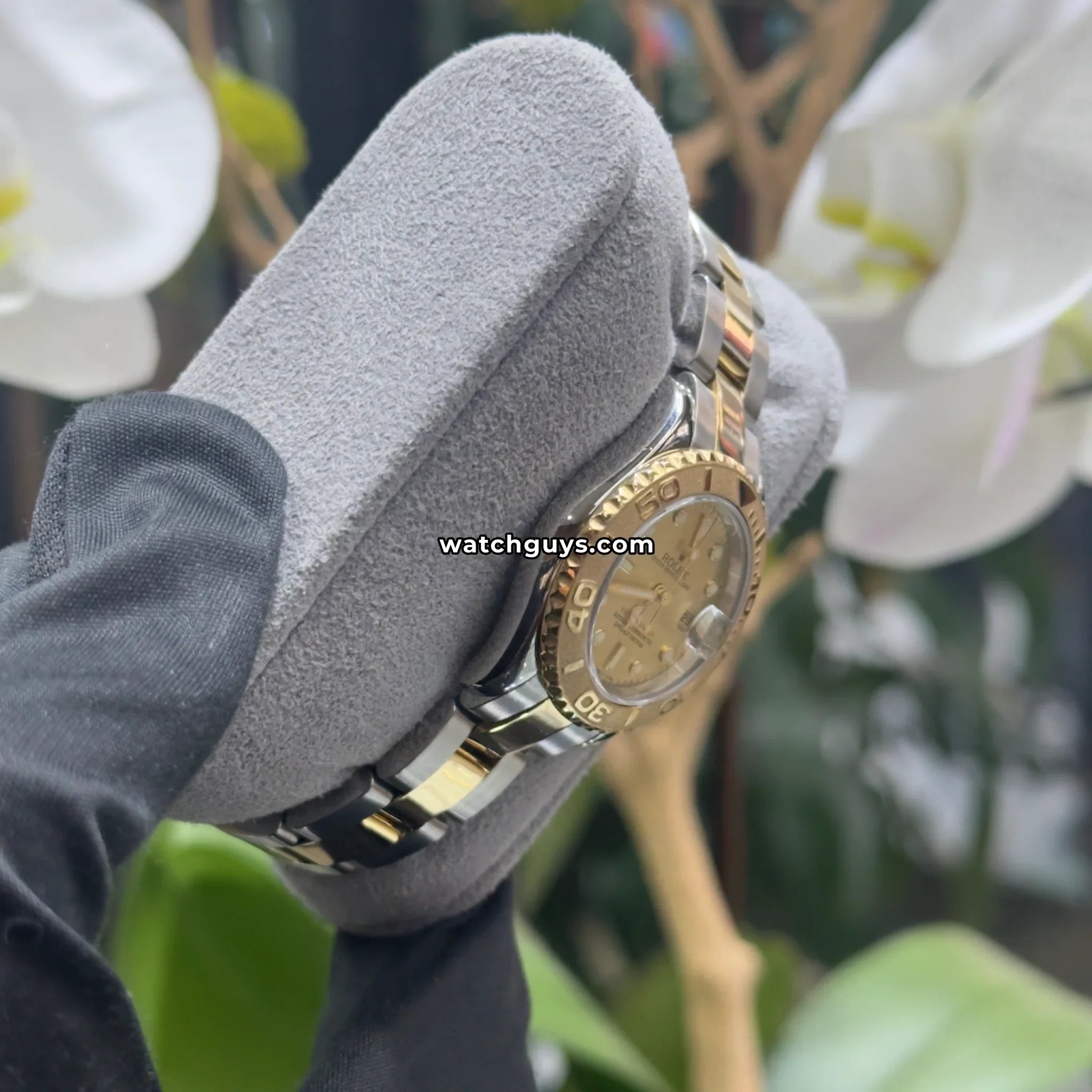 Rolex Yacht-Master 69623 Champagne