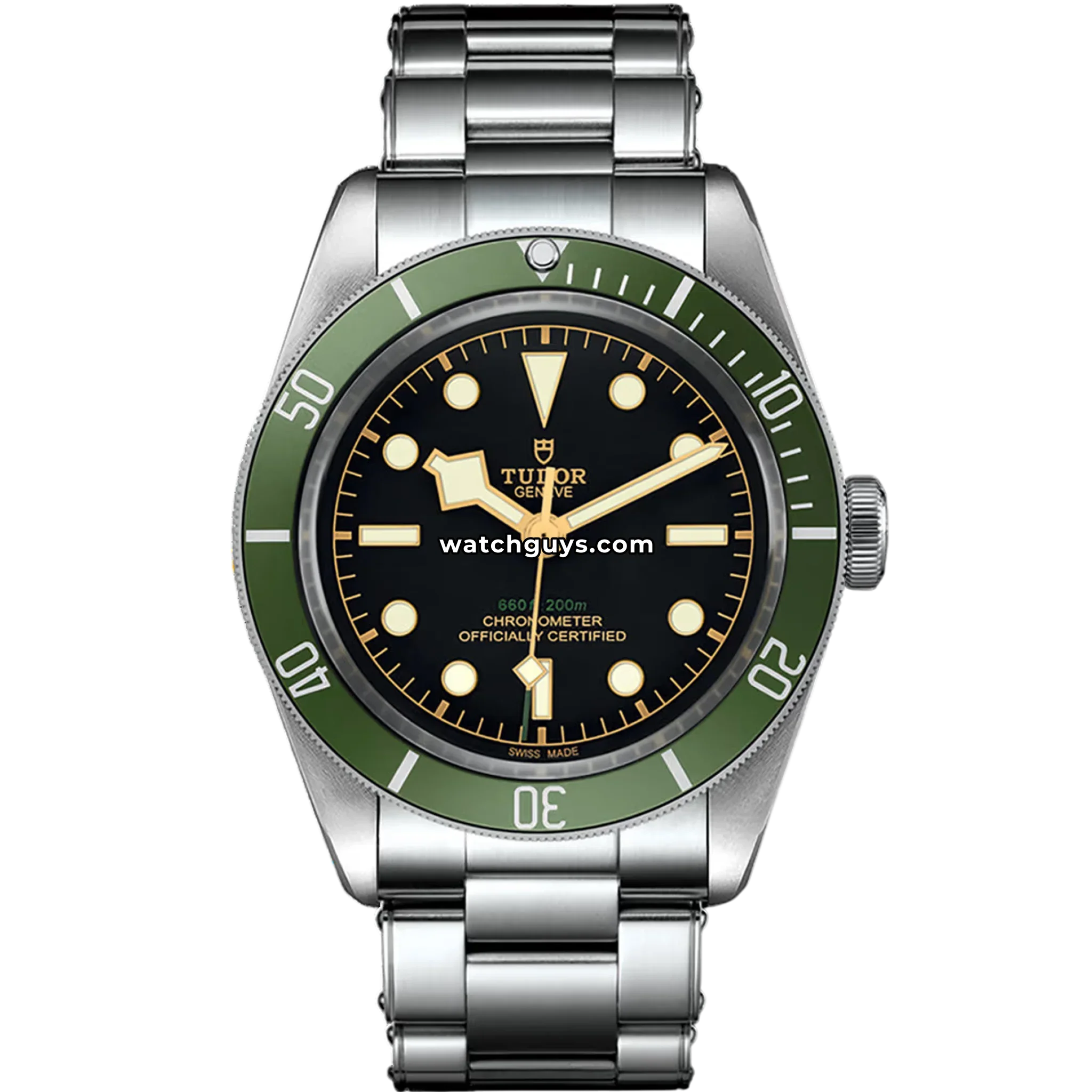 Tudor Black Bay 79230G
