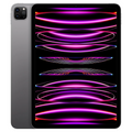 Apple iPad Pro (2022) - 11" - Wi-Fi + Cellular - Refurbished