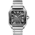 Cartier Santos Large WSSA0037