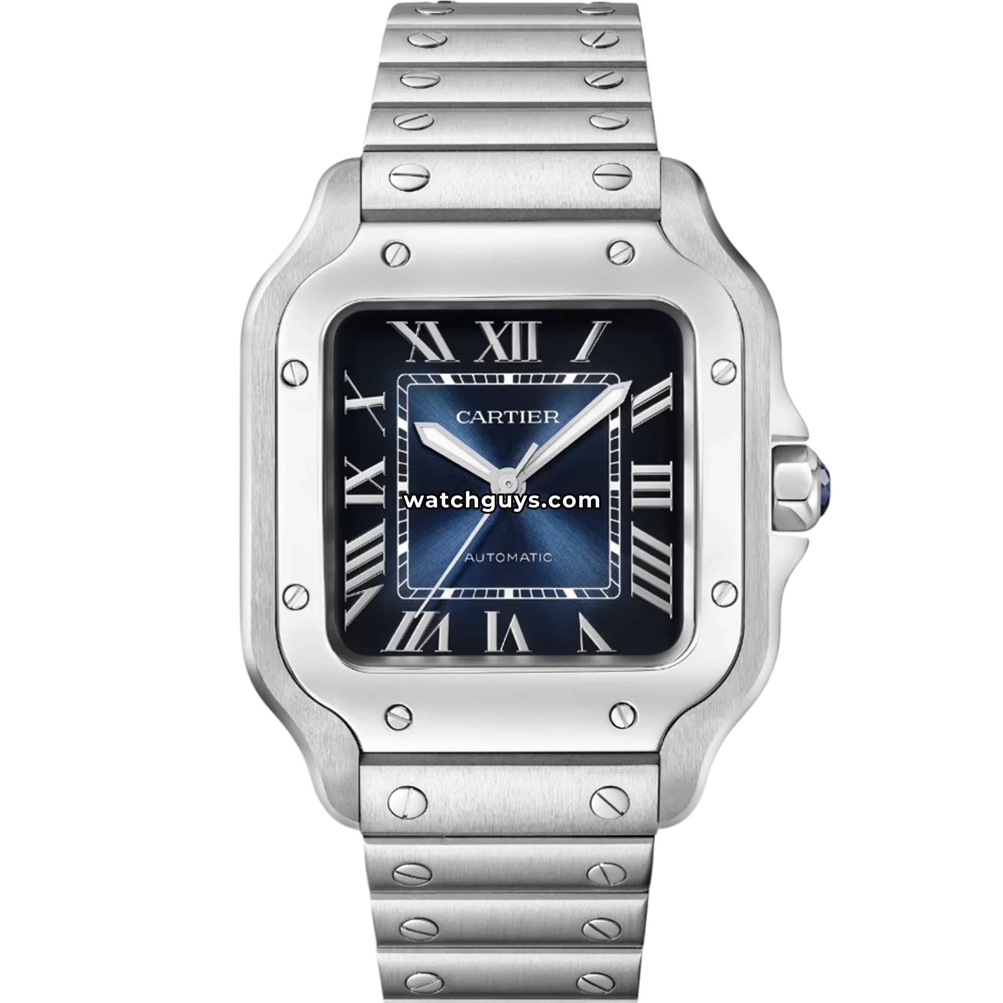 Cartier Santos Medium WSSA0063 Blue