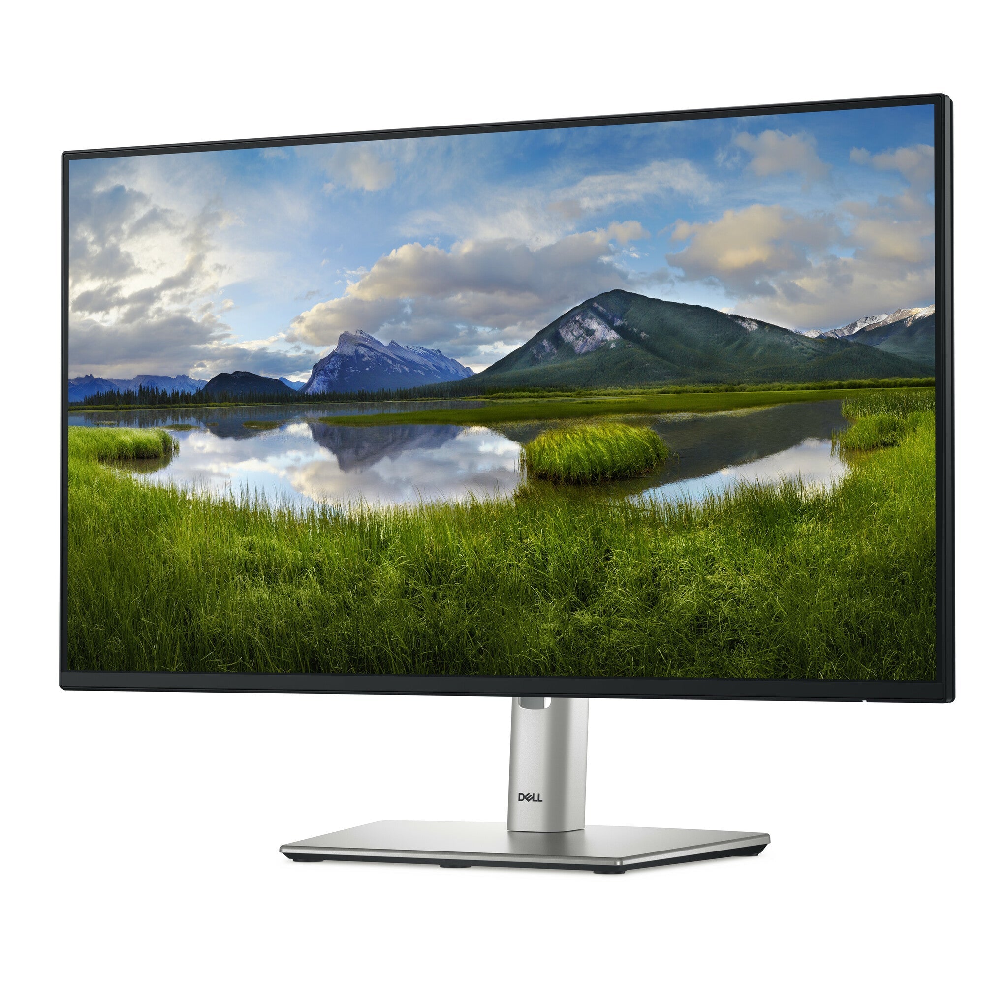 DELL P Series P2425HE - 60.5 cm (23.8") - 1920 x 1080 pixels Full HD LCD Monitor