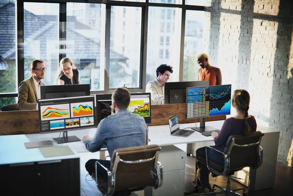 HP EliteDisplay E233 - 58.4 cm (23") - 1920 x 1080 pixels Full HD LED Monitor