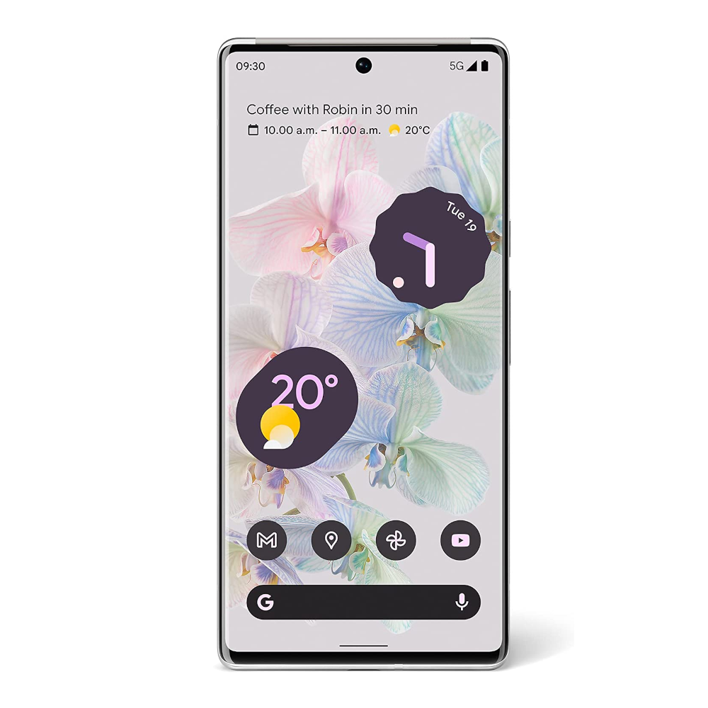 Google Pixel 6 Pro (5G)