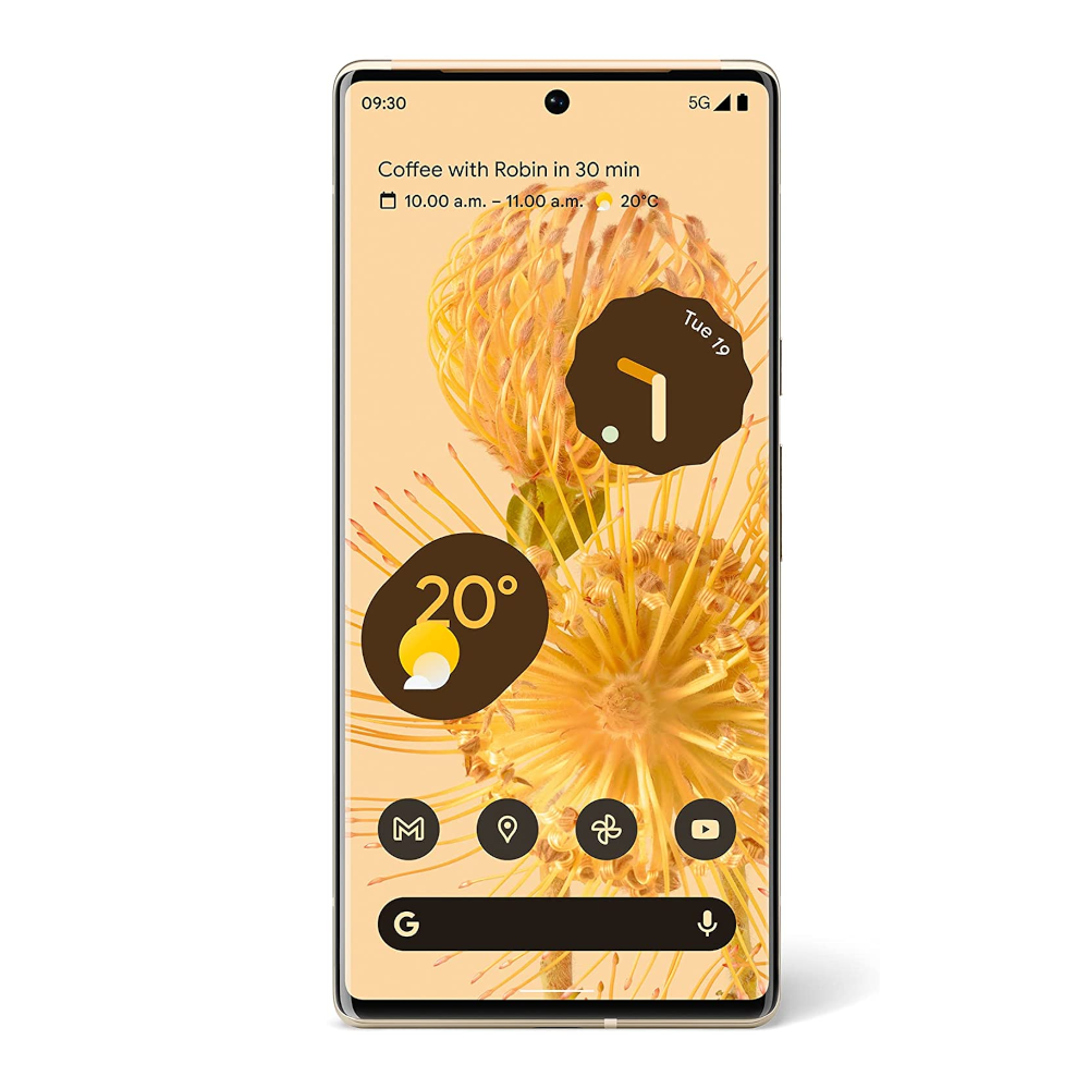 Google Pixel 6 Pro (5G)