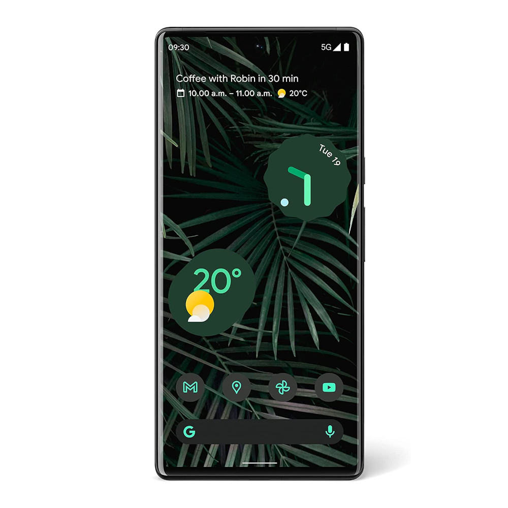 Google Pixel 6 Pro (5G)