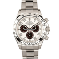 Rolex Daytona 116509 White Dial