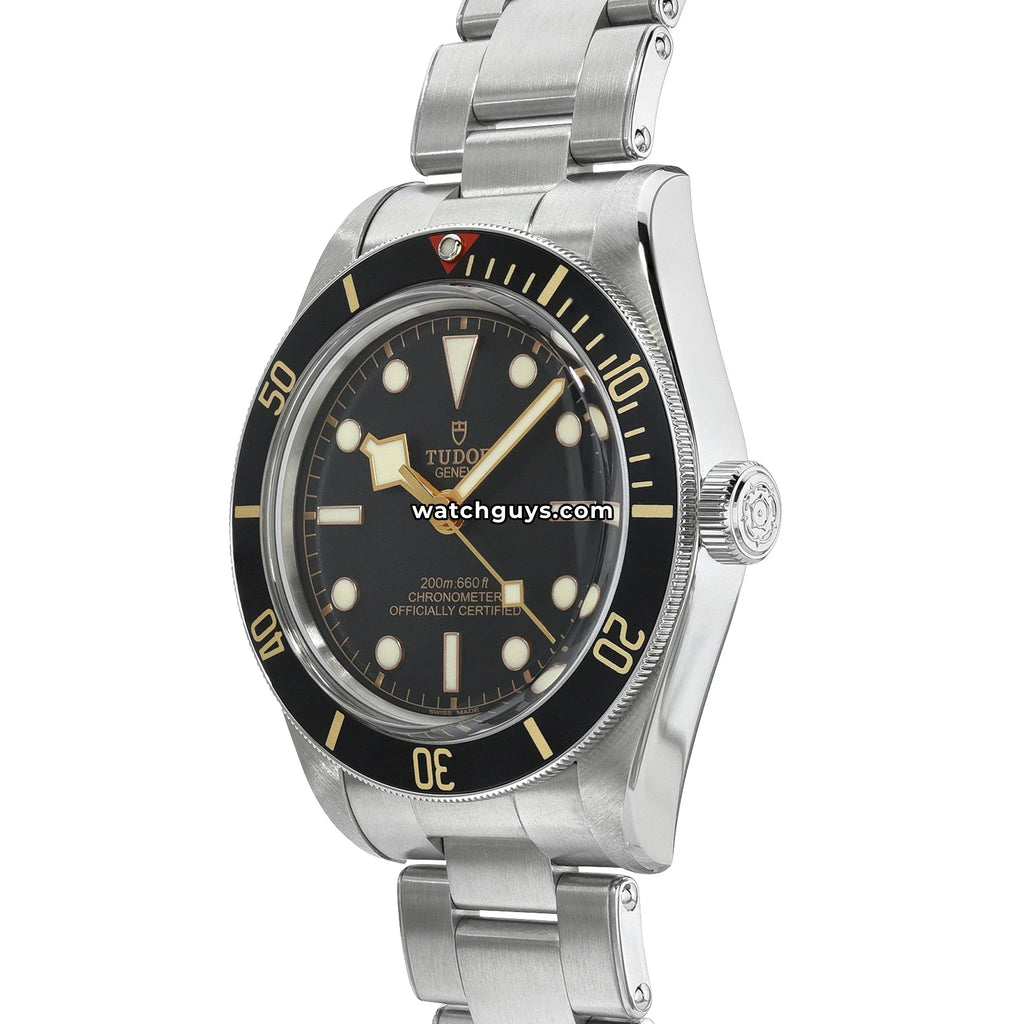Tudor Black Bay 58 79030N