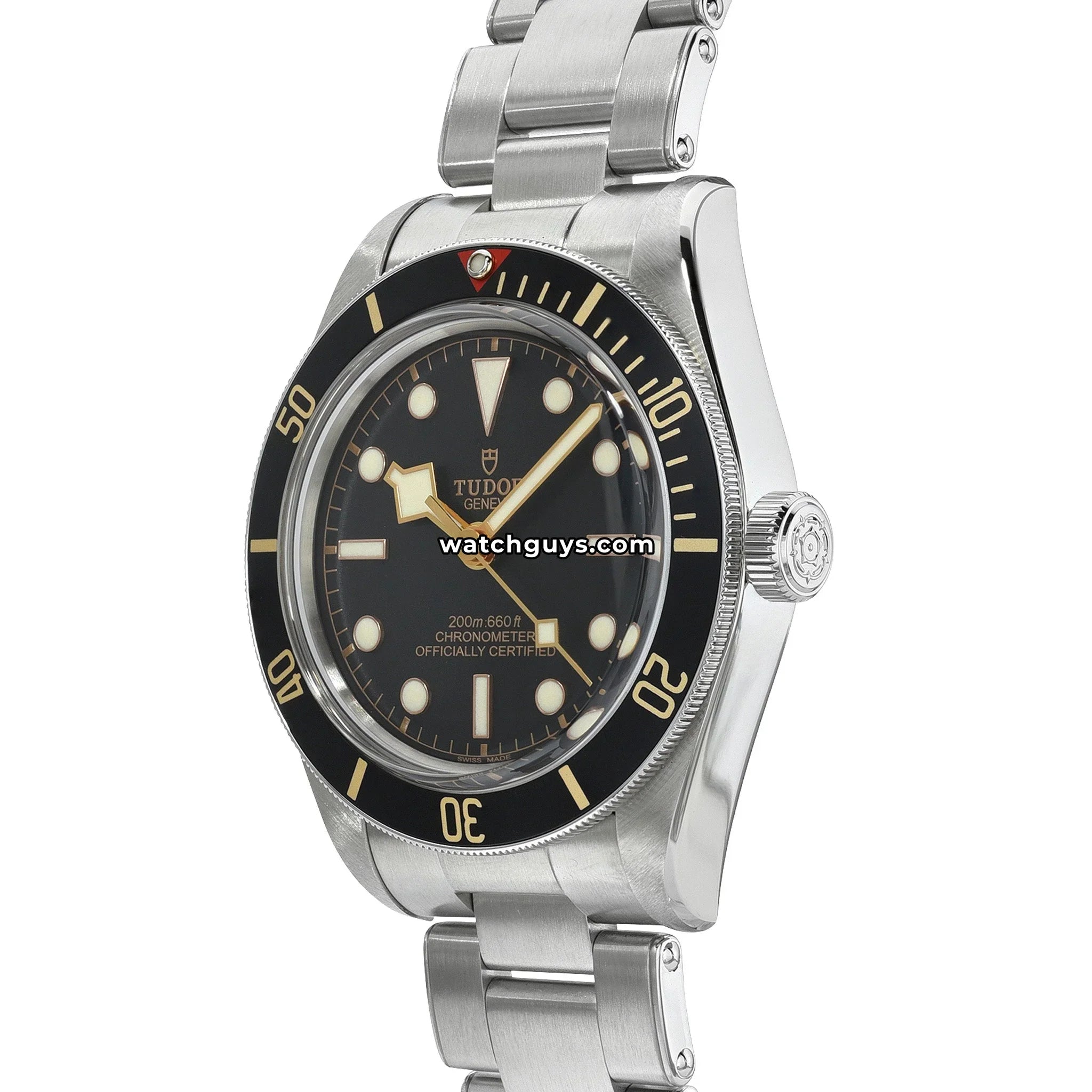 Tudor Black Bay 58 79030N